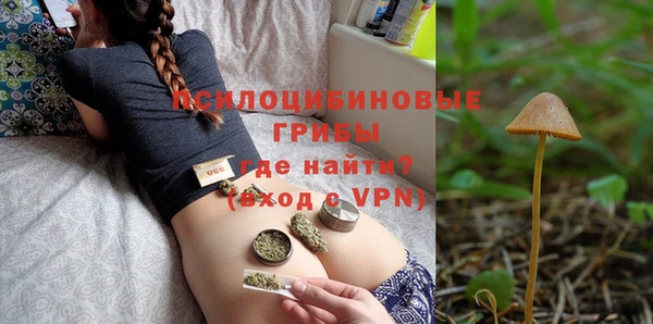 Альфа ПВП Богородицк